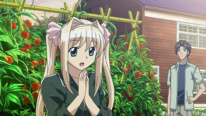konoaozora07